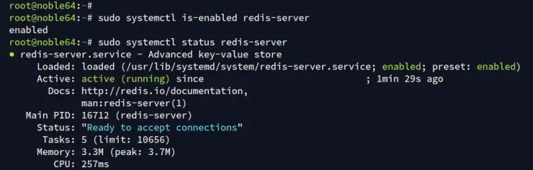 check redis