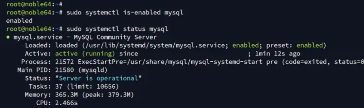 check mysql