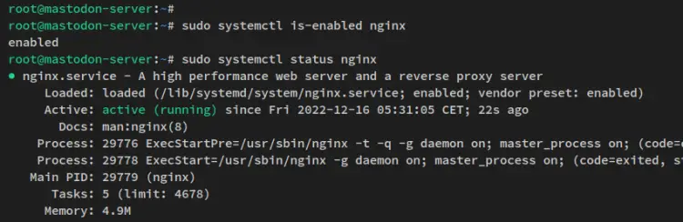 verify nginx