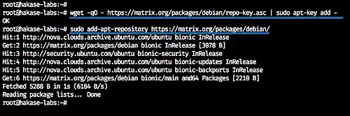 Install Matrix Synapse