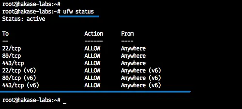 Check Firewall status