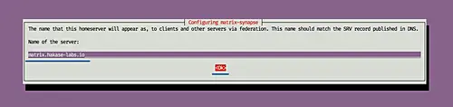 Matrix synapse apt installer - part 1