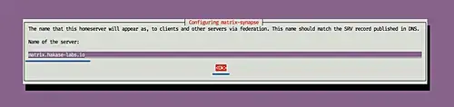 Matrix synapse apt installer - part 1