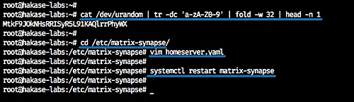 restart matrix-synapse