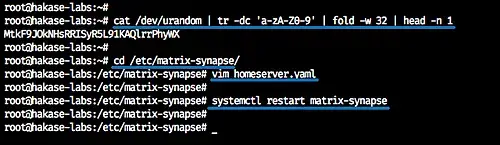 restart matrix-synapse
