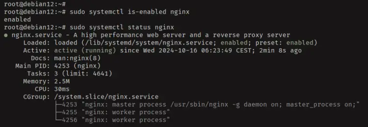 check nginx status