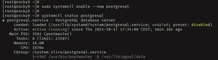 start enable verify postgresql
