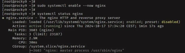 start enable verifynginx