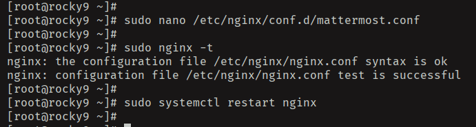 setup nginx