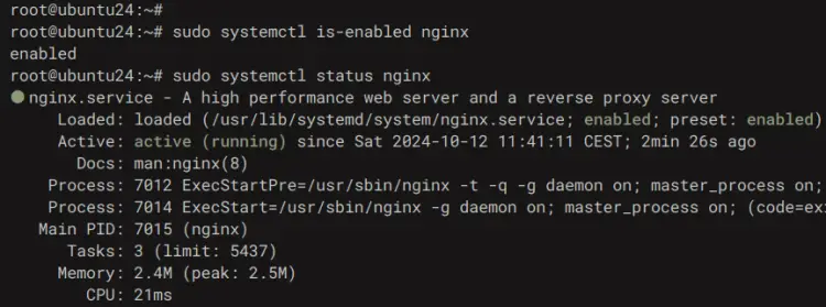 check nginx