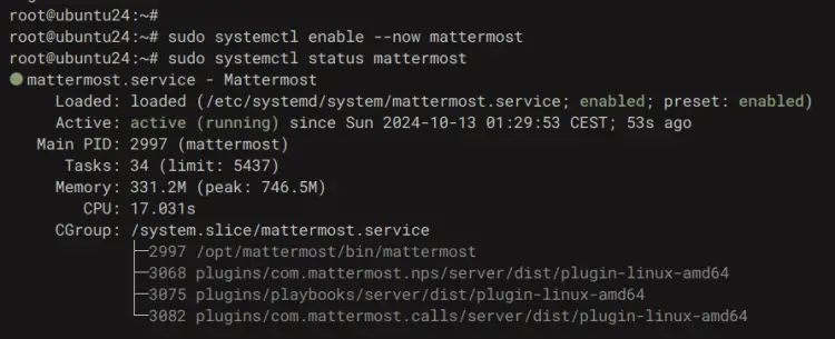 mattermost service