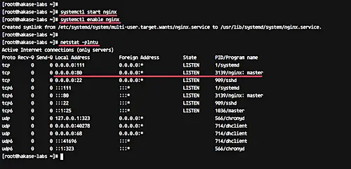 Check if nginx is working with the netstat command