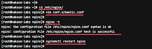 Configure Nginx, test and apply the config