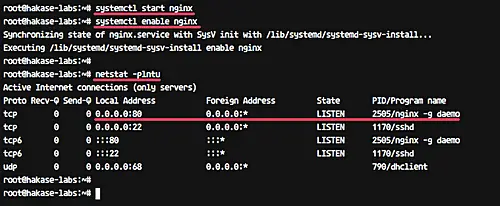 Start nginx