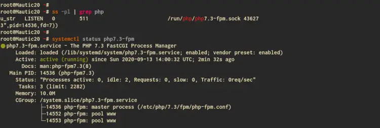 Check PHP-FPM Service Status