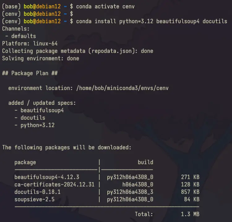 activate and install packages