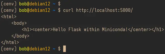 check flask app