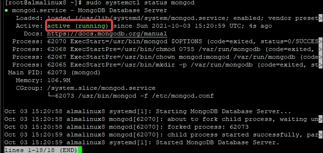 Installing MongoDB 