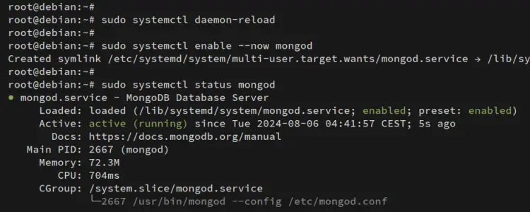 check mongodb