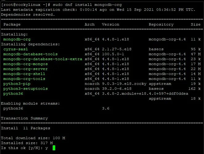 install mongodb