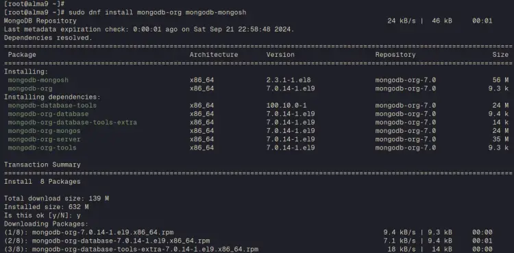 install mongodb