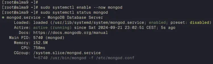 start verify mongodb