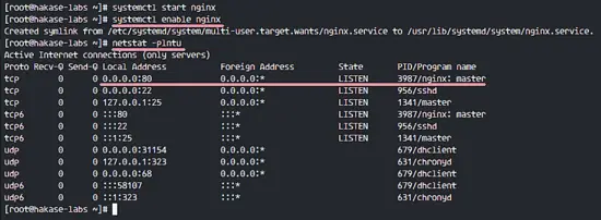 Install nginx on CentOS 7