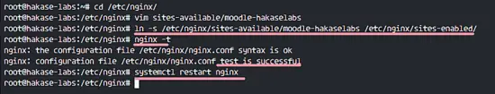 Enable nginx virtual host for moodle installation