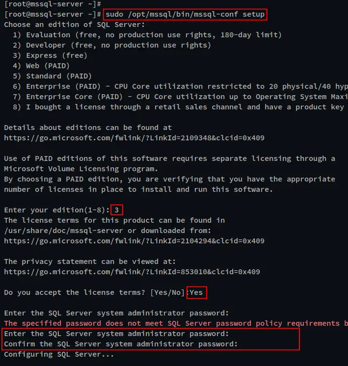 configure ms sql server