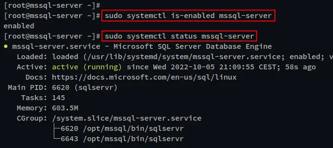 verify sql server