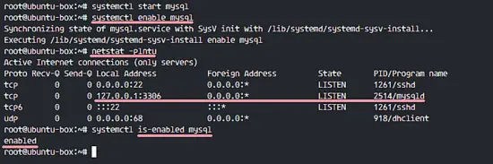 Start and Add to the boot time MySQL service