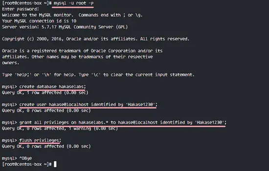 Create New user, database and grant user to the database MySQL