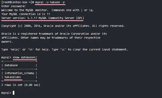 Trying to connect to the mysql with new user and show the database