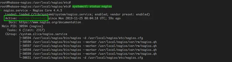 Check nagios Status