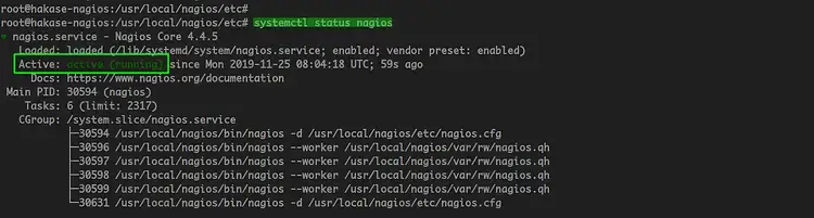Check nagios Status