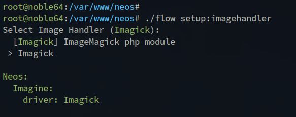 setup image handler