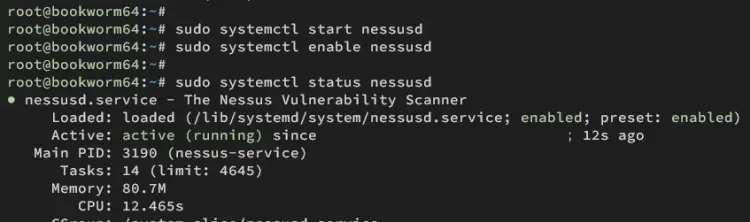 start verify nessus