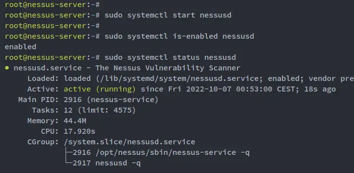 check nessusd service