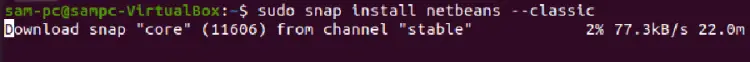 Installing netbeans via snap