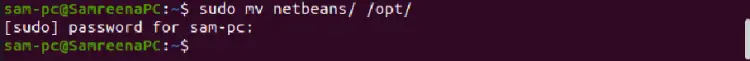Move netbeans directory to /opt/ location