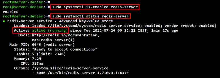 check redis service