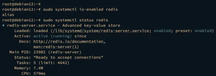 check redis