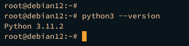 check python