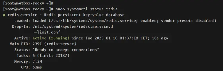 verify redis