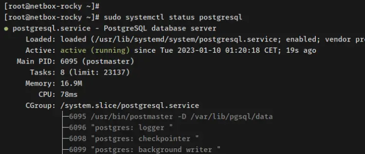 verify postgresql