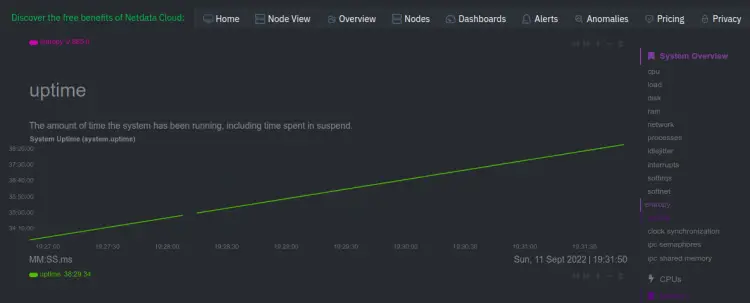 System uptime