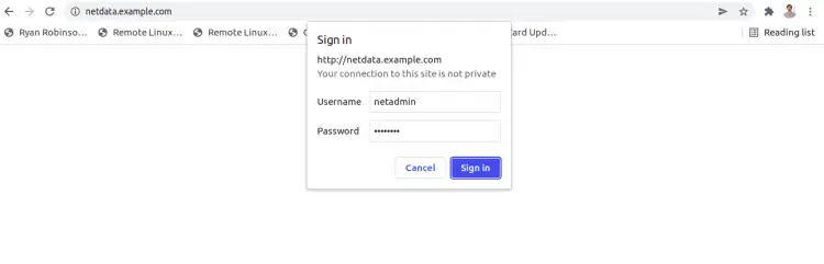 Netdata Login