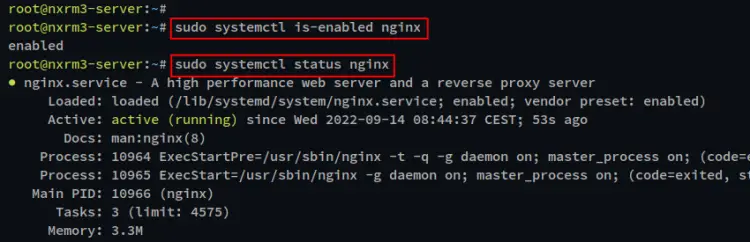 check nginx