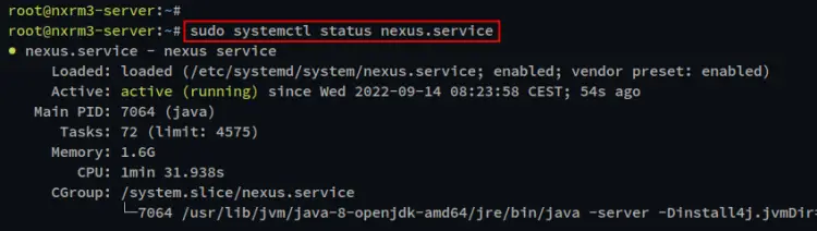 check nexus service