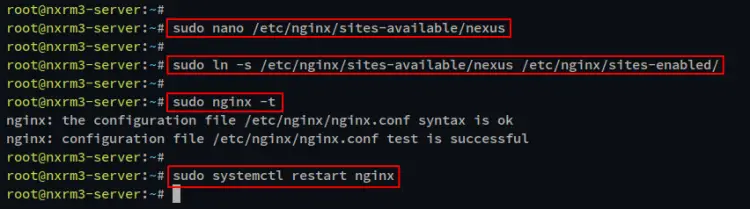 setup nginx reverse proxy